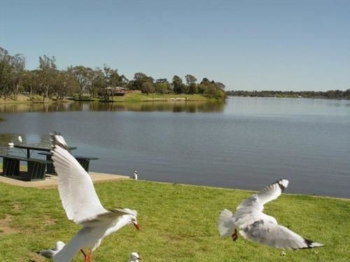 Centre Town Motel Nagambie Kültér fotó